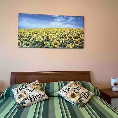 Vicino A Tutto Bed & Breakfast Vercelli Eksteriør bilde