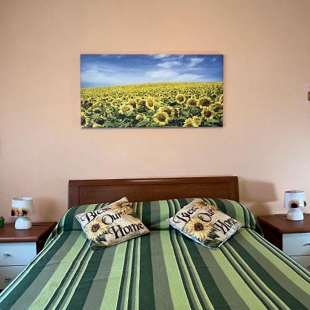 Vicino A Tutto Bed & Breakfast Vercelli Eksteriør bilde