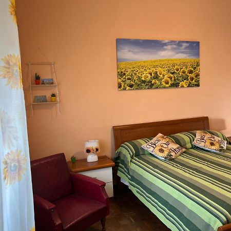 Vicino A Tutto Bed & Breakfast Vercelli Eksteriør bilde